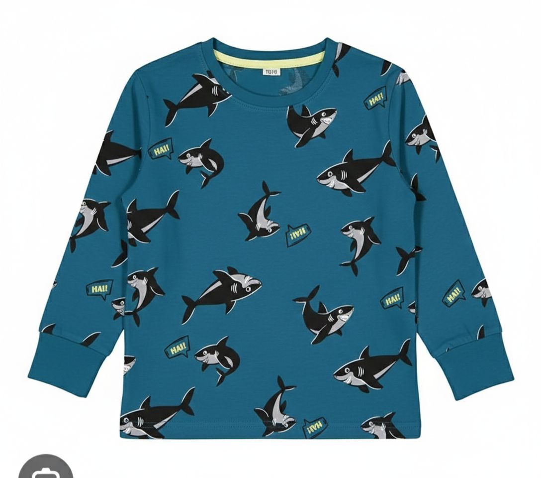 بلوز پسرانه 30276 سایز 2 تا 8 سال کد 5 مارک ZEEMAN